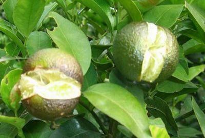 火狐电竞平台app:2026年北京享老攻略：顺义和悦照顾中心收费价格地址电话床位预定